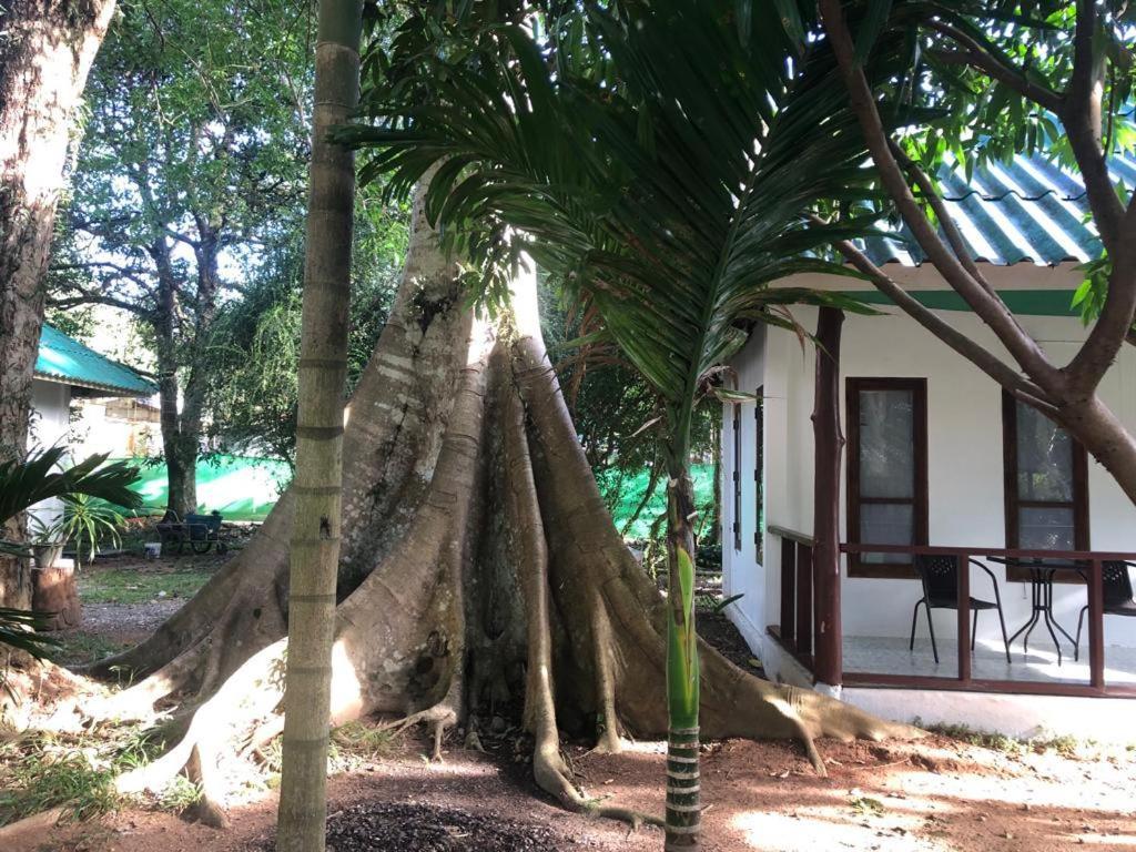 Tropical Paradise Leelawadee Resort Koh Chang Exteriör bild